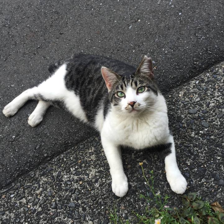 5d1911b1 e1ef 4e44 bc54 c85942de2d64