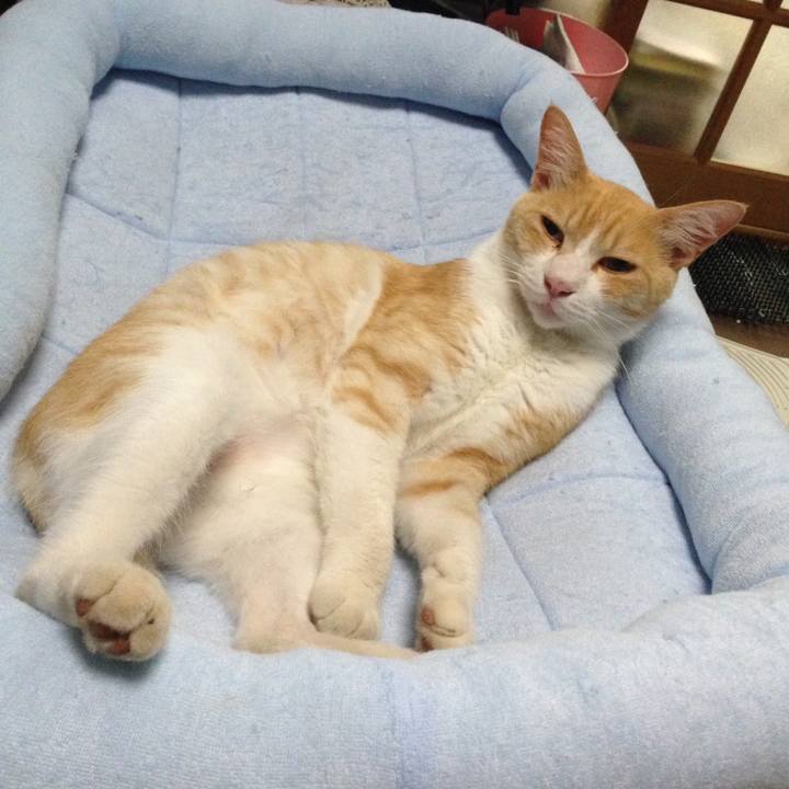 5d191881 9274 4515 a65e 18d22468ba67