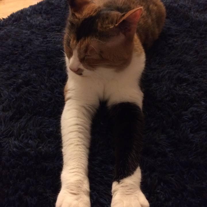 5d1981f3 ea7f 41a0 b604 9582c76542d6