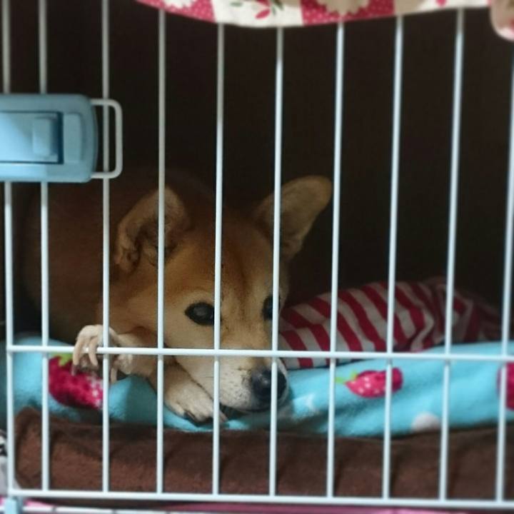 5d1a4916 c41a 4f60 8c0f 3523a5905b56