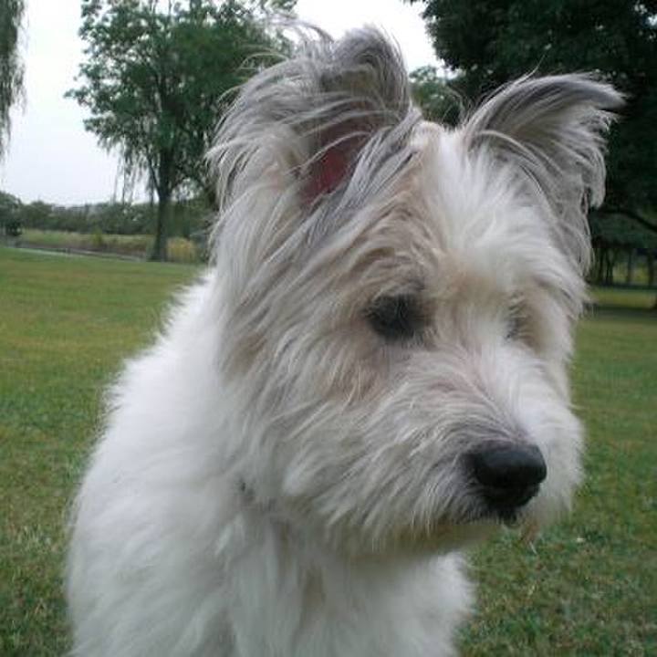 5d1adc68 527f 4ded bd78 b1276d6c9915