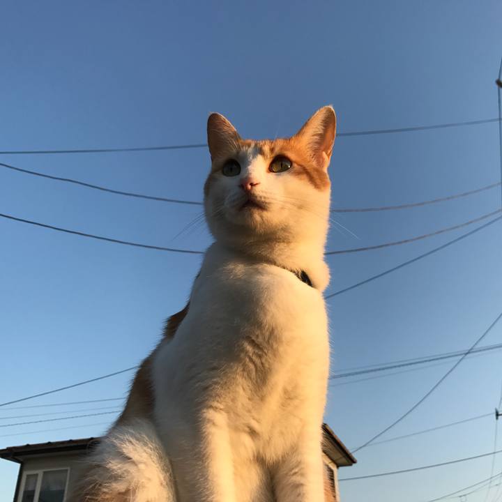 5d1b09a2 d678 423c 86e4 166b29eb7e49