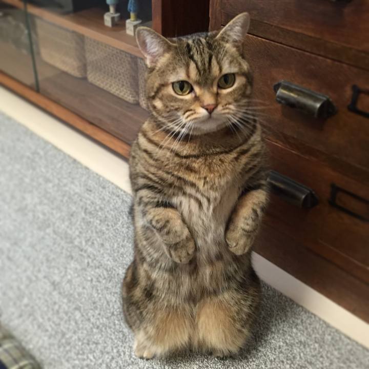 5d1bbbc2 f4f2 4c18 904a dcd24b1e5c73