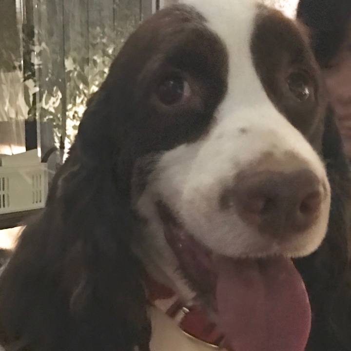 5d1c170d c769 4920 8b79 3e460a654f3a