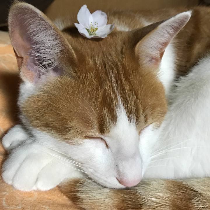 5d1c51d0 13e9 46b5 9b6e 1d6a25625e26