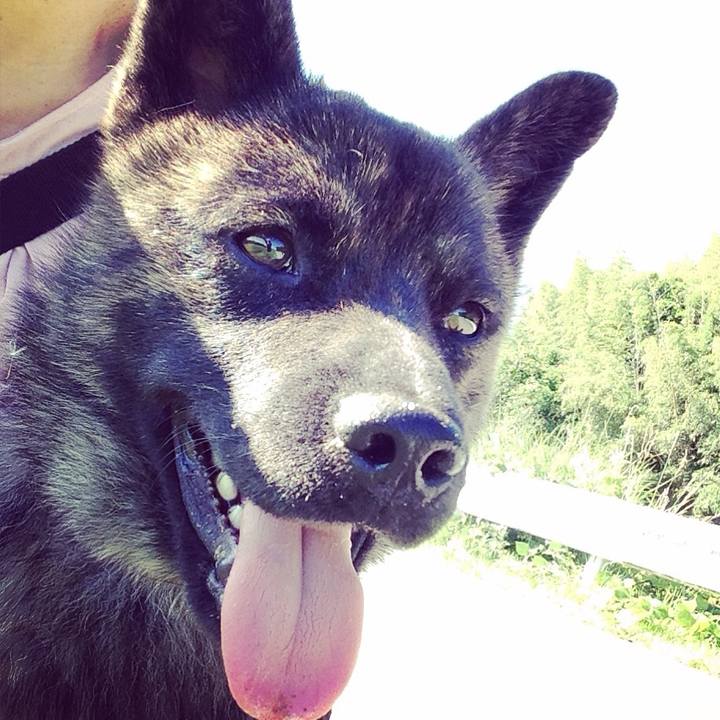 5d1c7685 ad39 4f44 b5b1 882554d9b10a