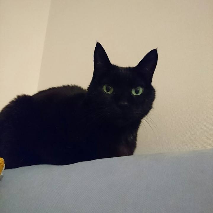 5d1cc3e1 5038 4cac 961d c4befafe33b9