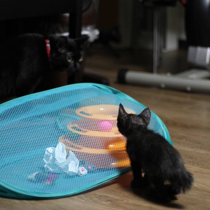 5d1cd099 4e38 4313 b512 1851ce4d9603