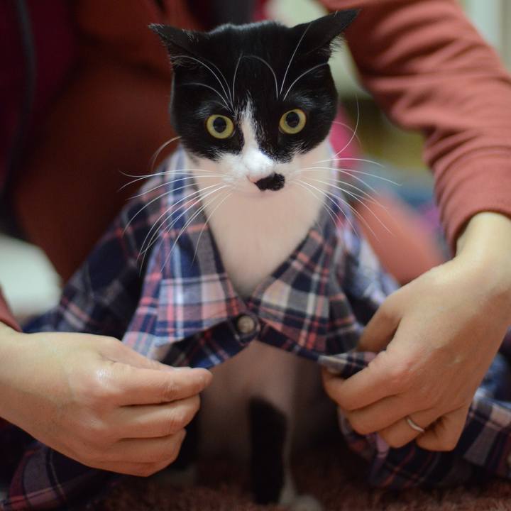 5d1d1d34 8514 4a59 8b95 f7fdcd6edab5