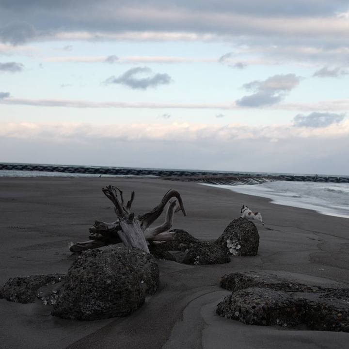 5d1d9ae0 7252 499b aa32 1961ed3d3100