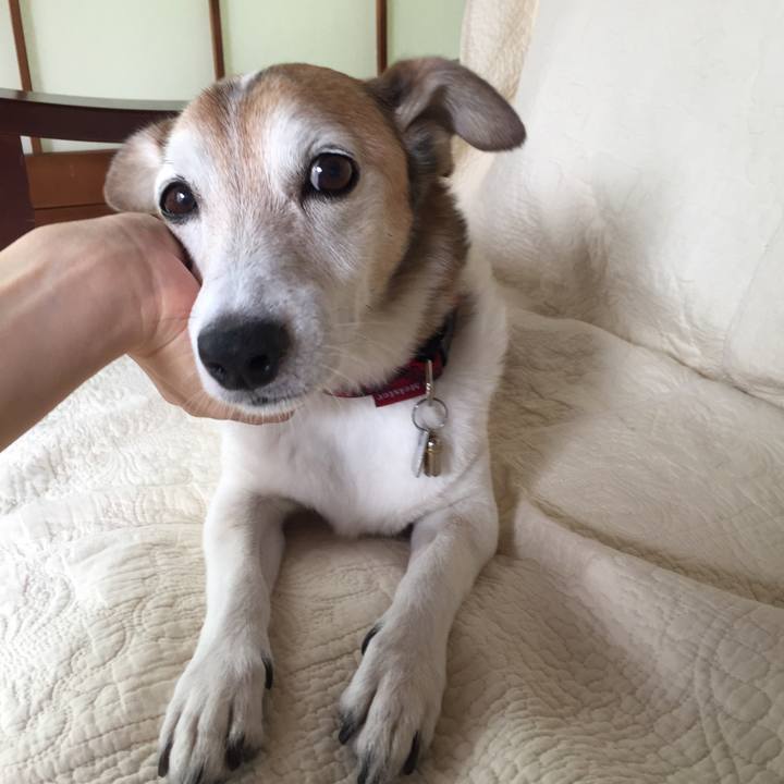 5d1dbdda 2fdc 4848 b0e6 53c154b553de