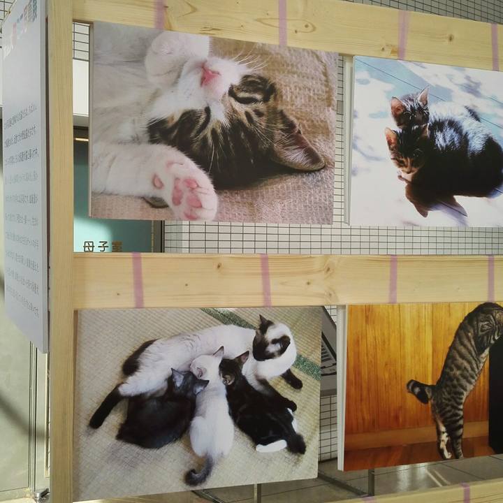 5d1deaea cea7 4f64 9ae9 9017e2bd9634