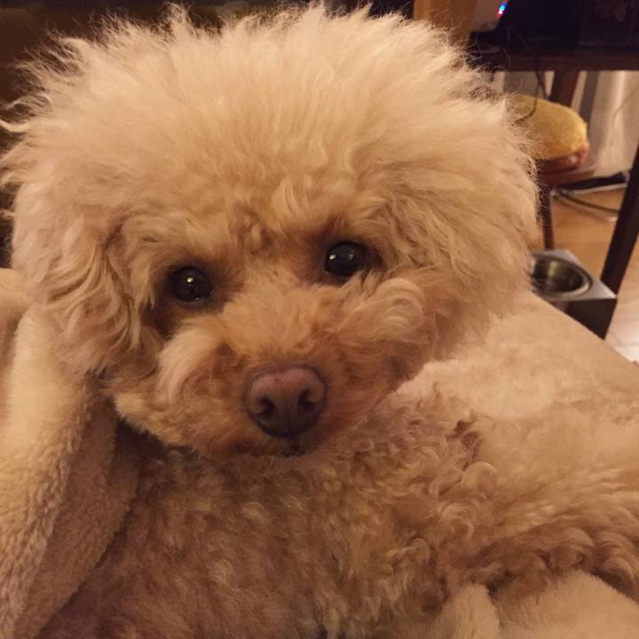 5d1df2f1 501e 4a04 93dc 511f15b14423