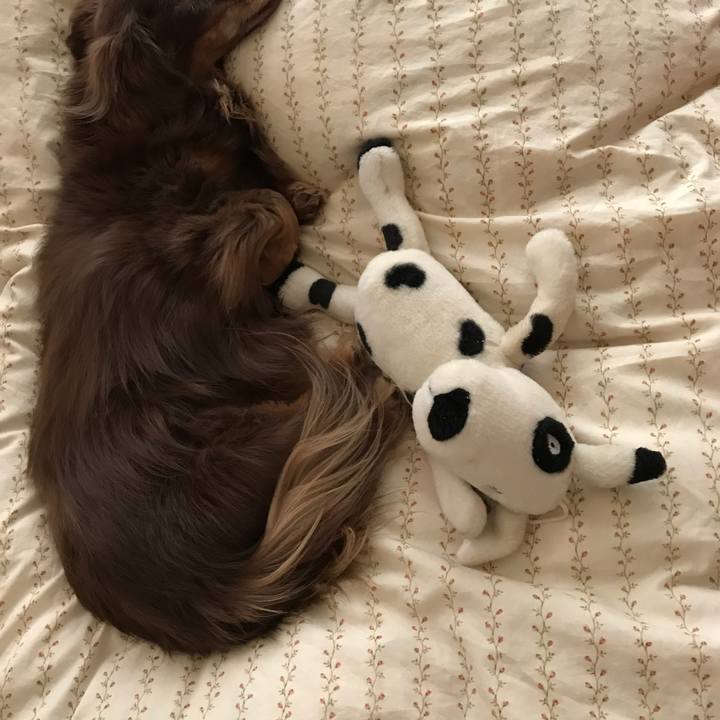 5d1e9b43 2d29 4fec 9a11 56c9e32929f3