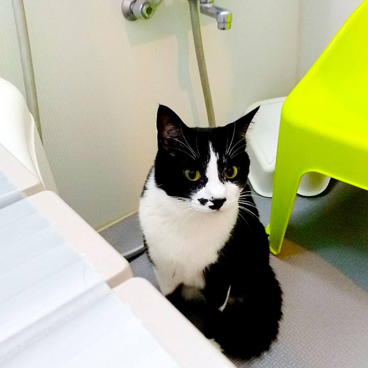 5d1ea4fd 5b4a 473b 81fd 6f29e500457a