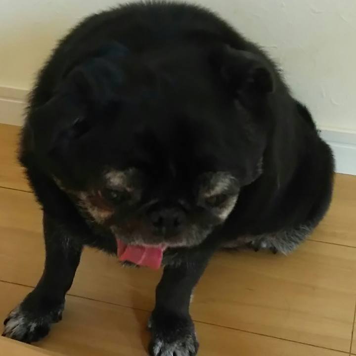 5d1f0e4b 89c9 471b b7c6 2740a06ab745