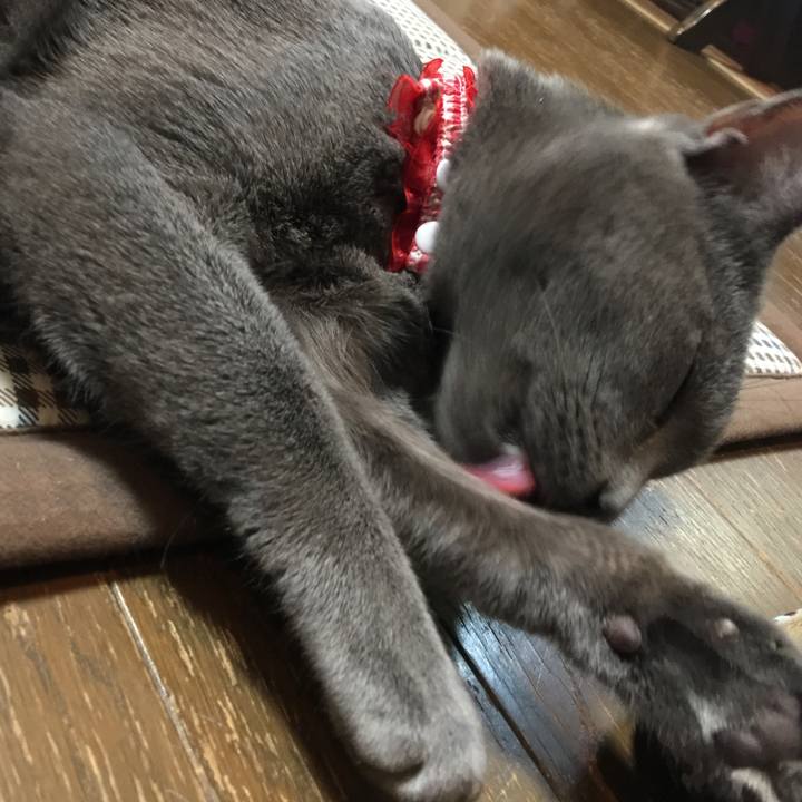 5d1f0e9a 2f7c 4b66 abd2 f66cbbefeedc