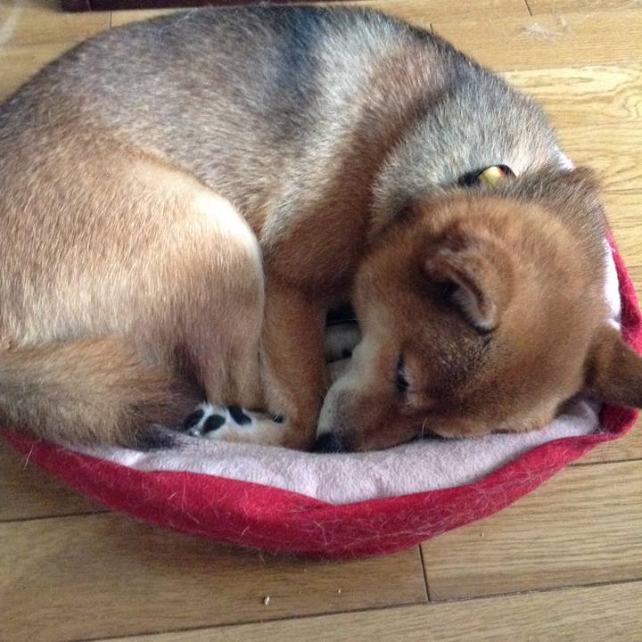 5d1fa6cc 54ff 4bf2 8af7 d737d56fdfbb