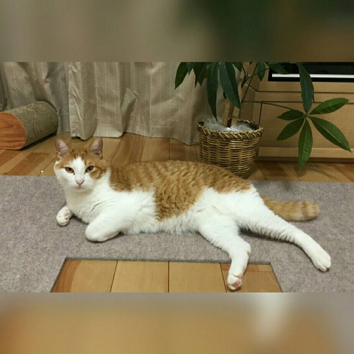 5d1fc1c3 78c4 4d9a a431 05100d918b8b