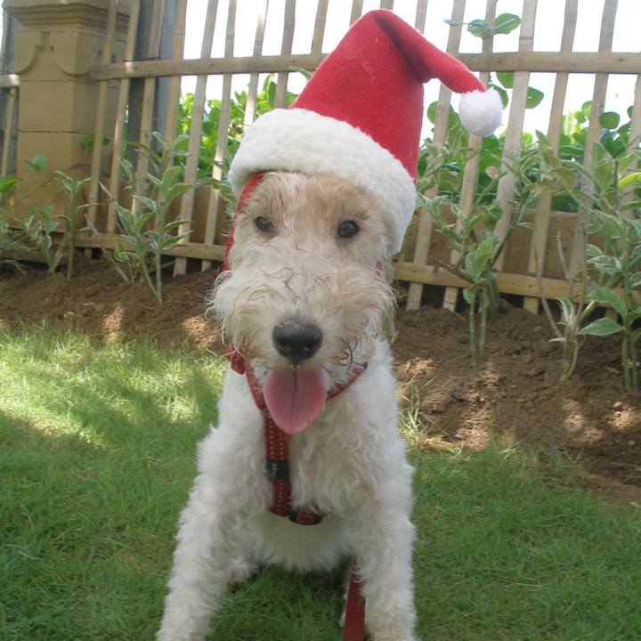 5d1fd368 2424 474c 8577 5ca92bbbb2d7