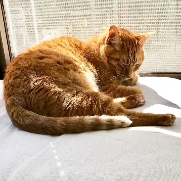 5d20a072 d3db 495b 942b 827f19c3d387