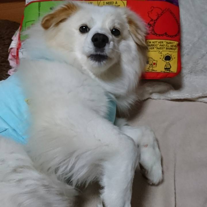 5d20a116 400f 474f 9596 73f2f32a74f3