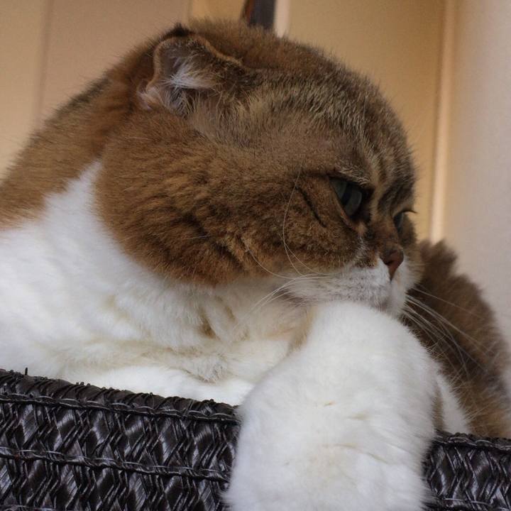 5d217910 6b14 46d6 bd57 c35d80889c35