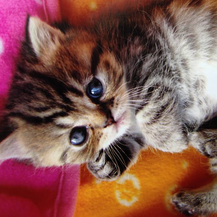 5d2206d3 072e 4c52 a189 a143a1995976