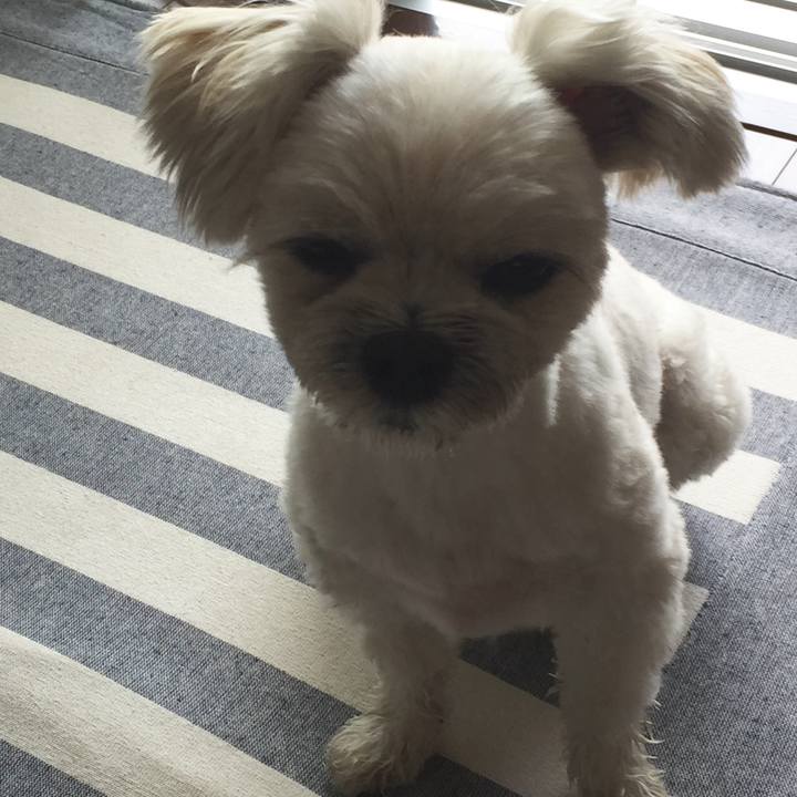 5d22179b 63f6 4738 bc7e 1a62e8dfd3e0