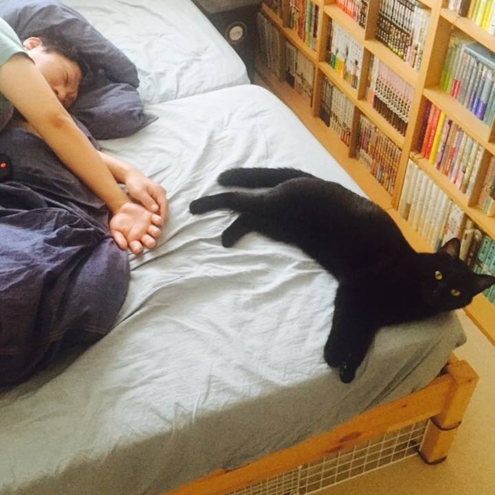 5d2268d9 b837 4d1a 9488 e58077489fc2