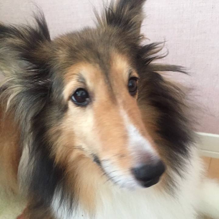 5d22f024 97ec 46b9 9a19 b77eaf494779