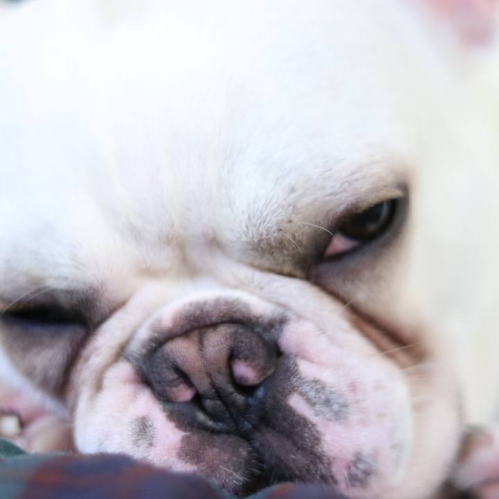 5d23e9bc 6c3c 4ac9 a153 e0fa08fa39ff