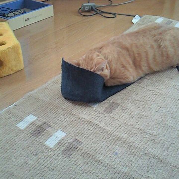 5d240035 475b 4a06 9dae 62ab95f399b9