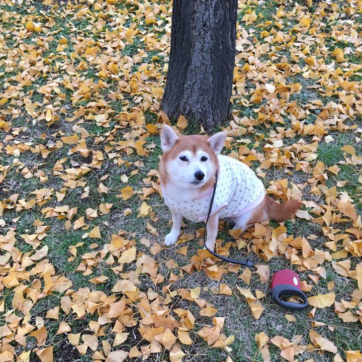 5d248d5e bbe8 41a8 80a6 06c9ea7e8e6d