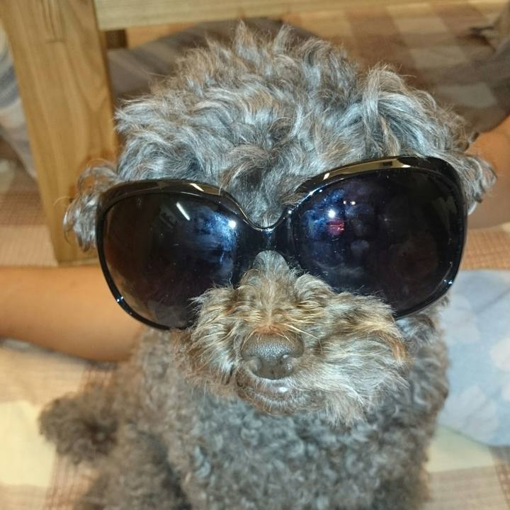 5d24b532 050a 4f9c b102 5394ad86343e