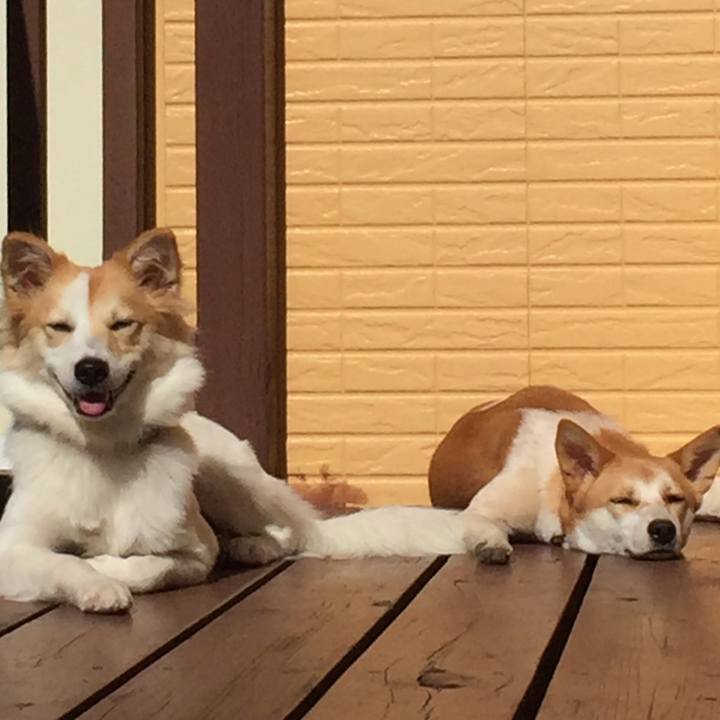 5d256303 c9c0 46b0 b9f5 ab476f4b375e