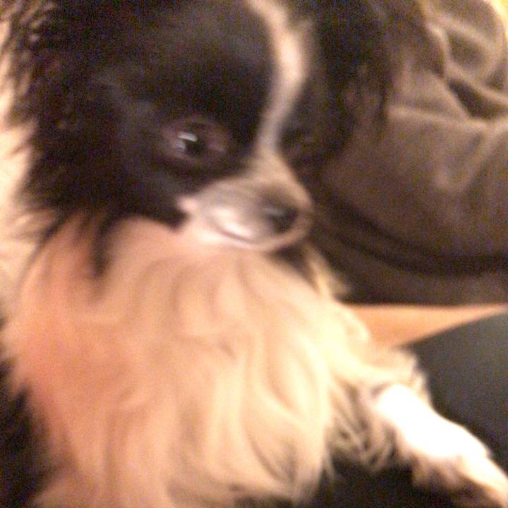 5d259698 8894 4ee3 907a c76815e4a170