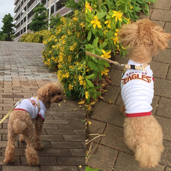 5d262917 7314 487e a981 714bbb57308a