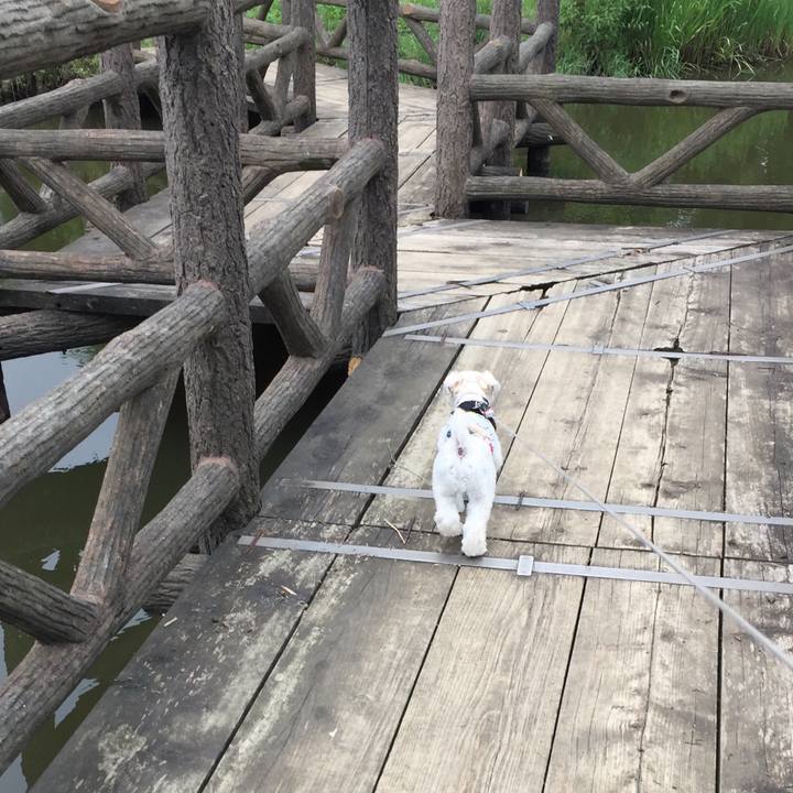 5d264ceb 686e 45d8 9718 272d8464938f