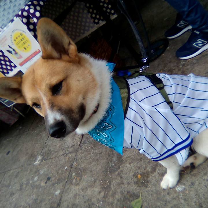 5d268adc 48a3 4069 9812 42a937f6058c