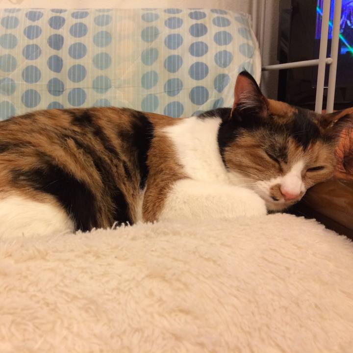 5d26ca24 1de7 4332 ac4c b61c22d79217