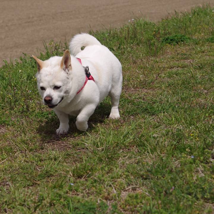 5d26cbb9 ea6c 4695 9200 ed4a11190475