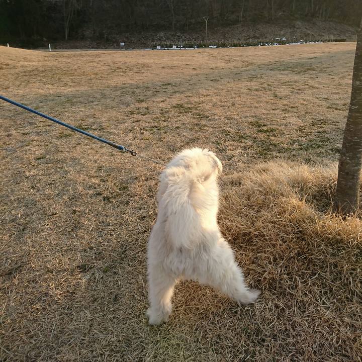 5d26fac9 7748 40c8 9805 553eee9f7814