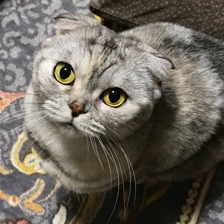 5d273d1e 5ba1 4fcf 8bc2 cea9ab1c9f52