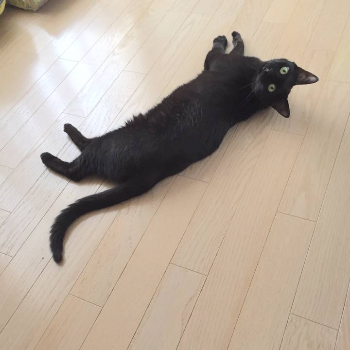 5d2759bc 1595 4e85 bda1 f8cb7a110ce9