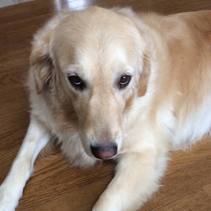 5d277dfe bd99 478a 8b8f 48b51bf1ba90