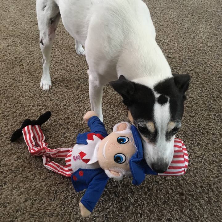 5d27a8da 61ca 4835 be48 78c2af98e887