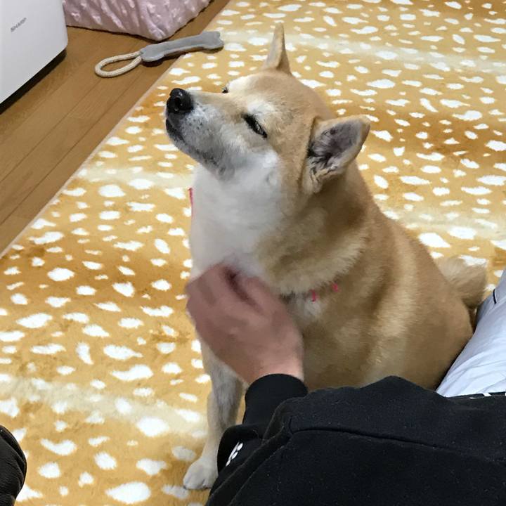 5d27f4eb b768 46cd 9faf d8b36f2c78ef