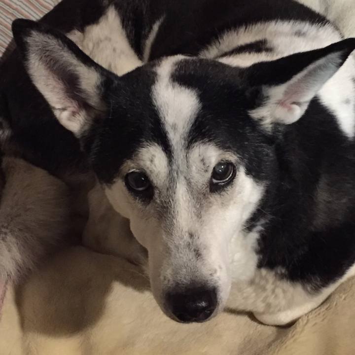 5d282e70 c57a 4b5f 820c 4cc50511aea0