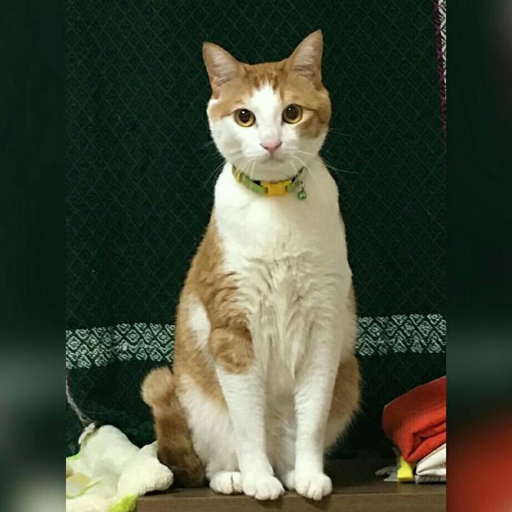 5d2853cb 1595 43bd 825e ea74938d9a27